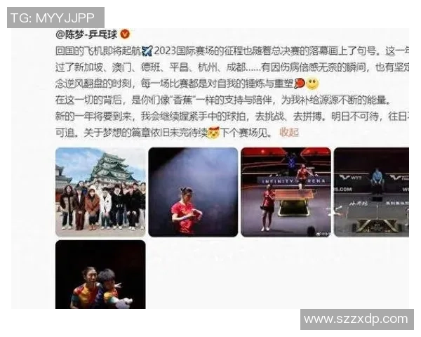 西安乒乓球队在总决赛中的强势表现与未来展望分析